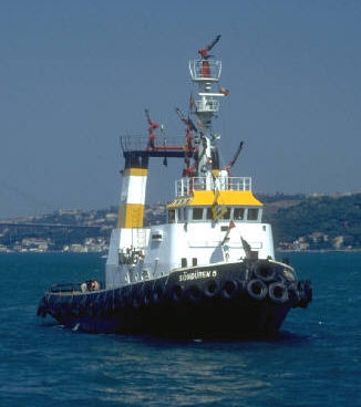 Large Ocean Going Tug